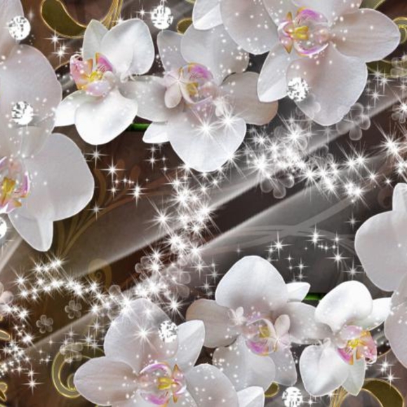 Meet your Posher, Daniela - Picture 2 of 2